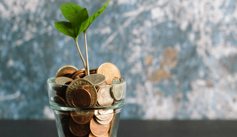 money jar with plant growing out of it