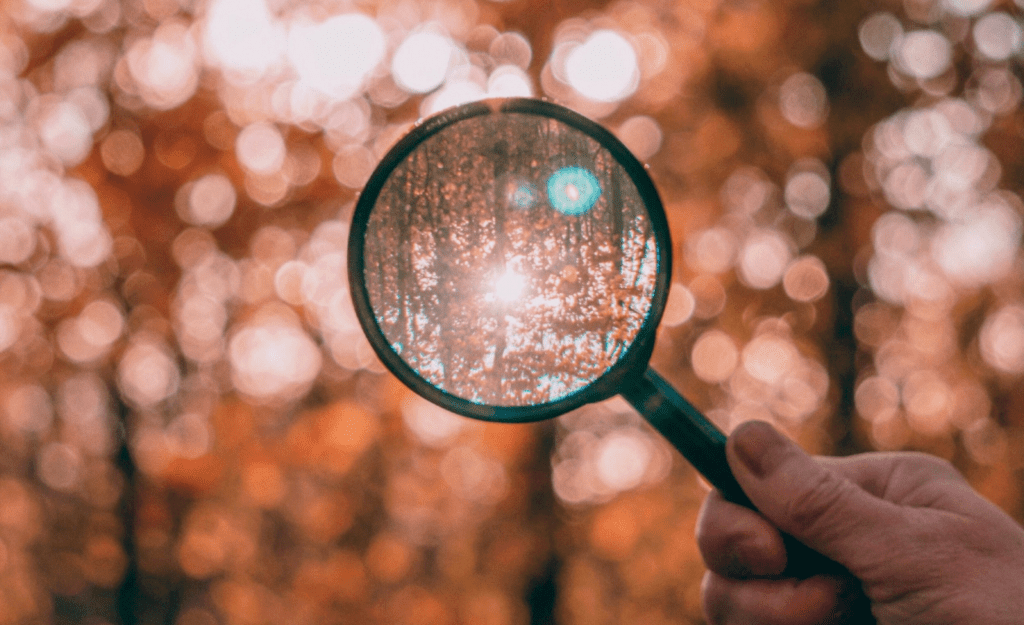 magnifying glass
